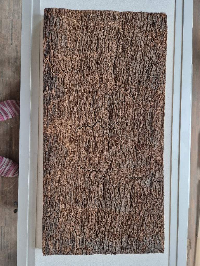 Korkrückwand aus einem Stück  60x30 cm